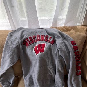 wisconsin hoodie nwot